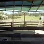 Calmsley Hill City Farm