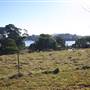 Morton National Park