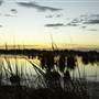 Fivebough Swamp