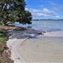 Forster and surrounds