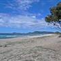 Forster and surrounds