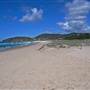Forster and surrounds