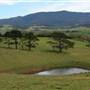 Gerringong