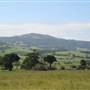 Gerringong