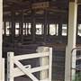 Gilgandra Showground