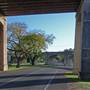 Greave Street, Grafton