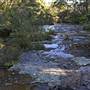 Green Patch Campground - Booderee National Park