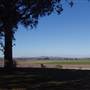 Private House - Singleton