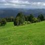 Griffiths Lookout, Dorrigo