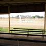Hay Racecourse