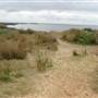 Hill 60, Port Kembla & Sydney Water Plant