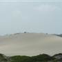 Killick Beach & Sand Dunes - Hat Head National Park