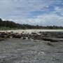 Iluka