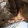 Jenolan Caves
