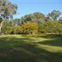 Japanese Gardens Cowra