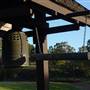 Japanese Gardens Cowra