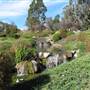 Japanese Gardens Cowra