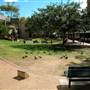 Jessie Street Gardens