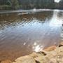 Kangaroo River