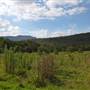 Kangaroo River