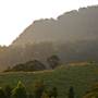 Kangaroo Valley Vistas