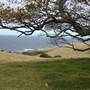 Kiama