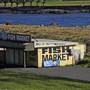 Kiama