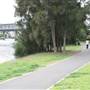 King George Park and Rozelle Foreshore