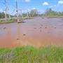 Kooragang Wetlands - Hunter Wetlands National Park