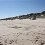 KURNELL BEACH