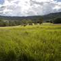 Kyogle