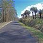 Kyogle