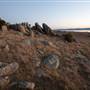 Lake George