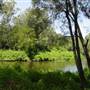Lane Cove National Park