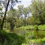 Lane Cove National Park