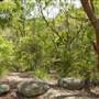 Lane Cove National Park