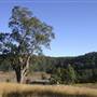 Lilburndale