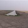 Hay Area Agriculture