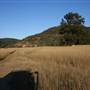 Leets Vale