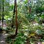 Munmorah State Conservation Area