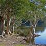 Mungo Brush - Myall Lakes National Park