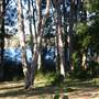 Myall Lakes National Park