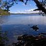 Myall Lakes National Park