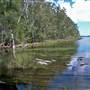 Myall Lakes National Park