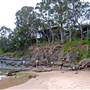 Pearl Beach