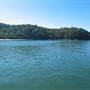 Patonga