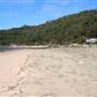 Patonga