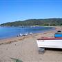 Patonga