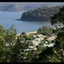 Patonga
