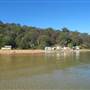 Patonga